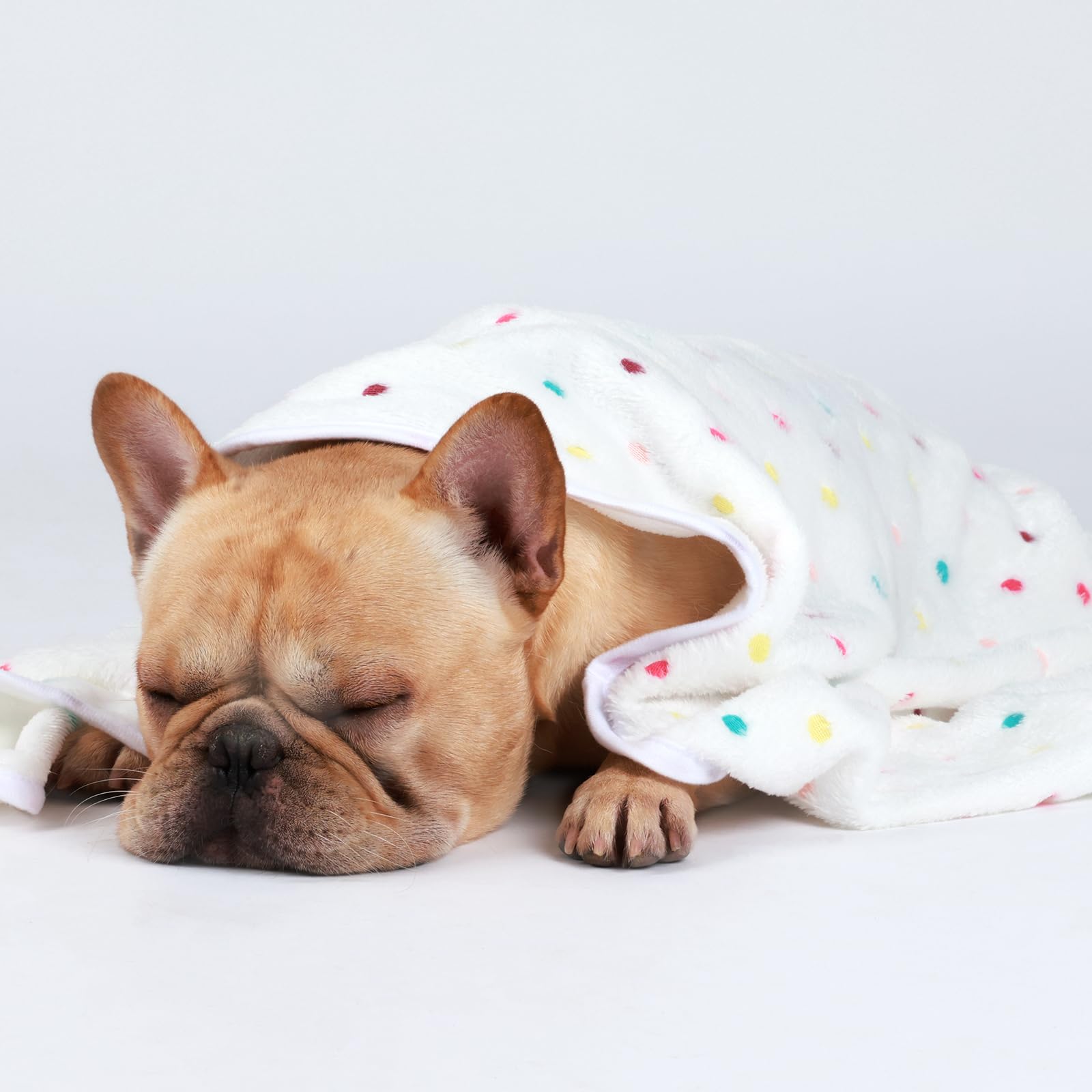 1 Pack 3 Blankets Super Soft Cute Dot Pattern Pet Blanket Flannel Throw for Dog Puppy Cat - Snuggle Blanket - Beige/Brown/Pink Small