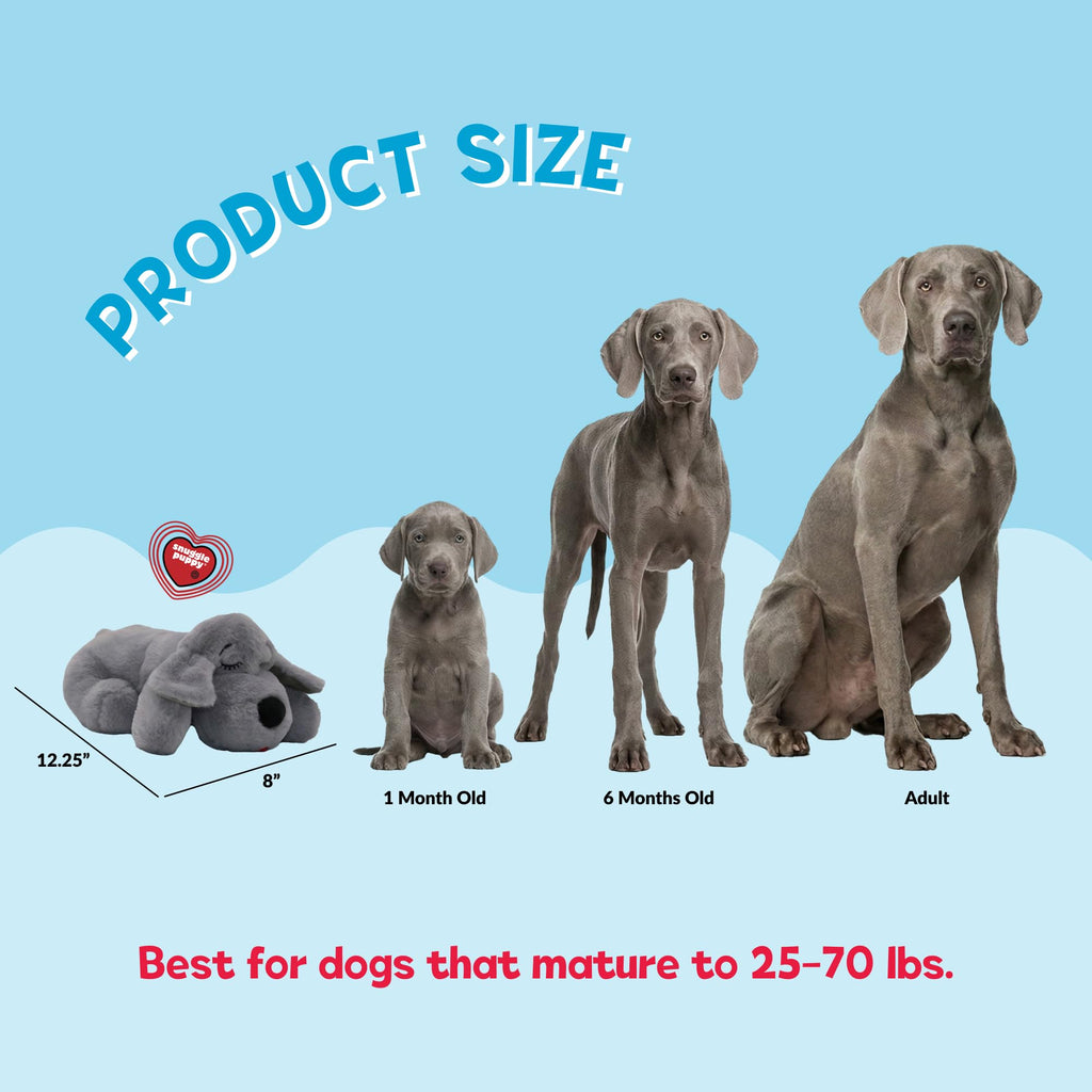 Snuggle Puppy Original Heartbeat Puppy Toy with Real-Feel Pulse & Heat Pack, Calming Sleep Aid for Puppy Anxiety, Crate Training, First Nights & New Puppy Transition - Biscuit