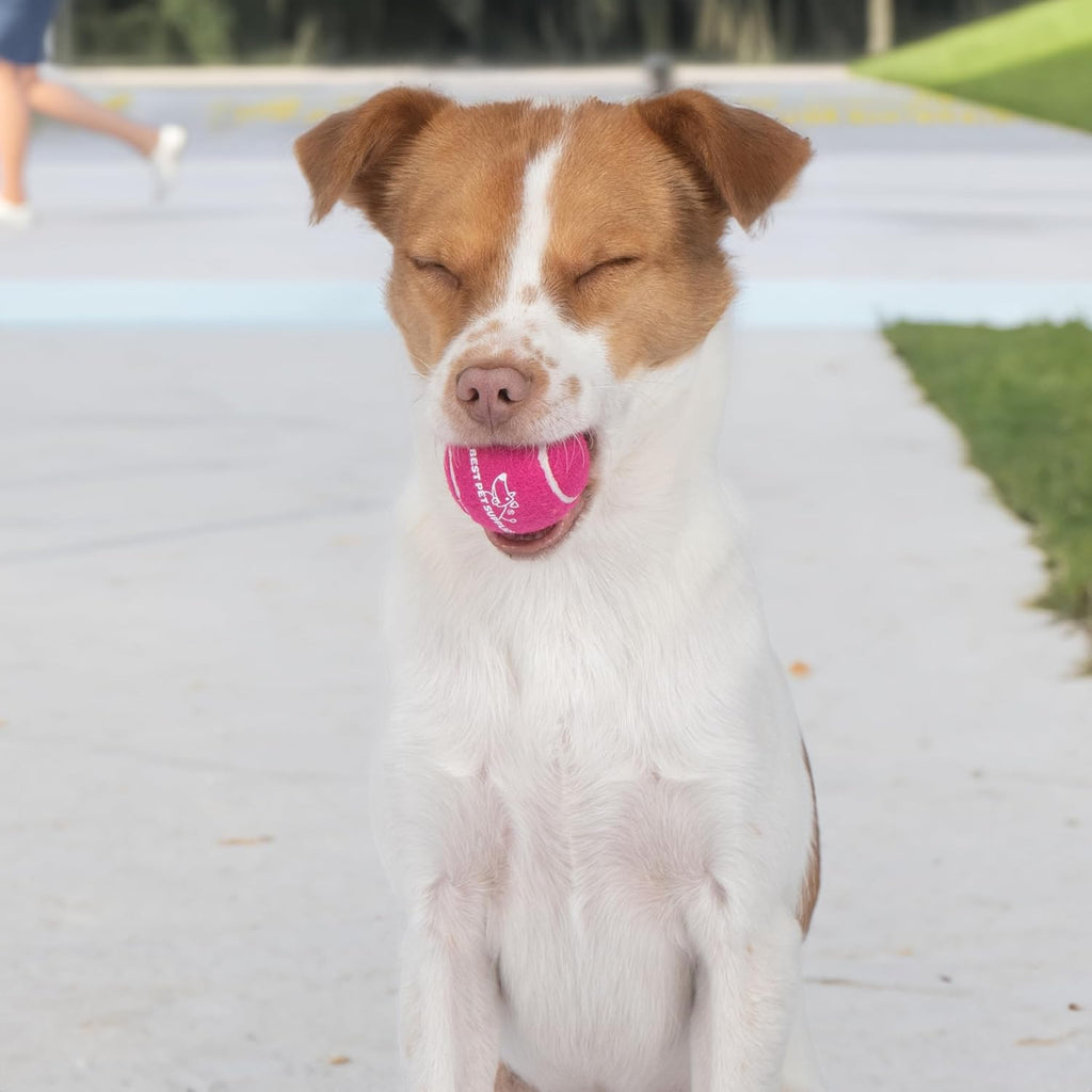 Best Pet Supplies Interactive Squeaky Dog Chew Toy, Ideal Dog Toys for Chewers, Small, Medium & Large Dogs, and Fetch Lovers - Crinkle Chicken (Brown), Large
