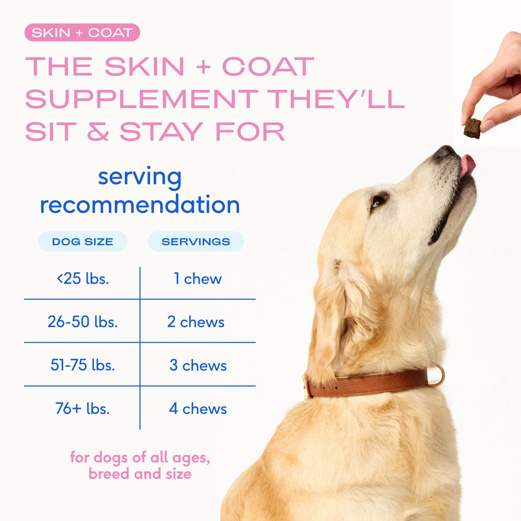 Native Pet Omega 3 Fish Oil for Dogs & Cats | Wild Alaskan Salmon Oil