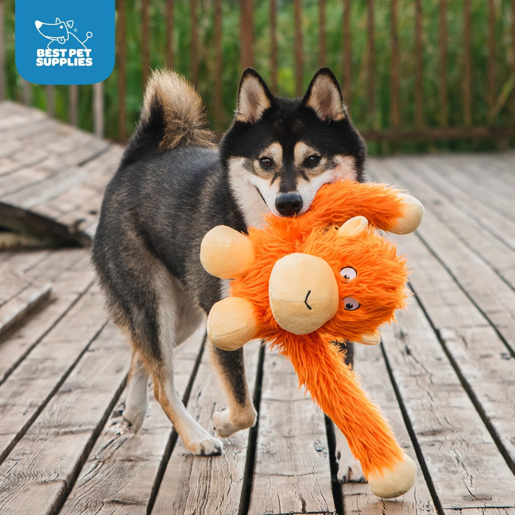 Best Pet Supplies Interactive Squeaky Dog Chew Toy, Ideal Dog Toys for Chewers, Small, Medium & Large Dogs, and Fetch Lovers - Crinkle Chicken (Brown), Large