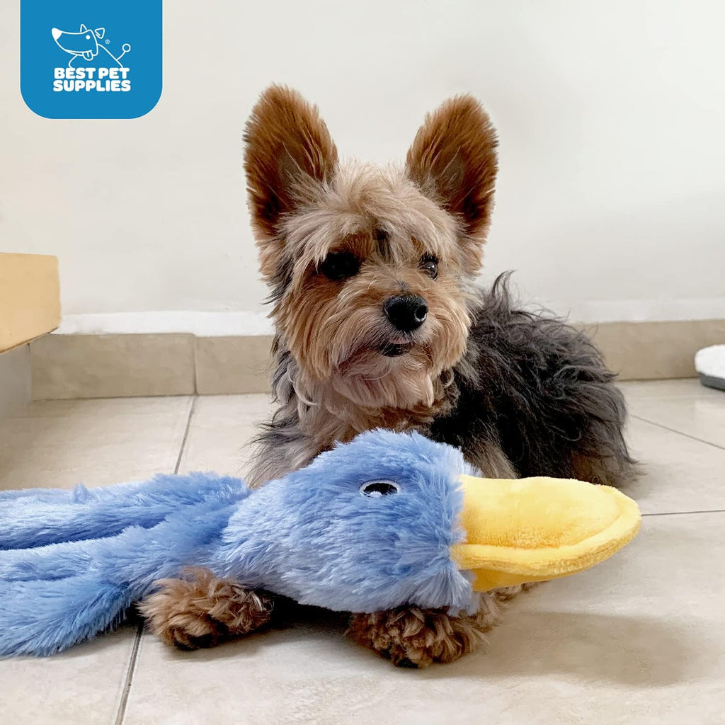 Best Pet Supplies Interactive Squeaky Dog Chew Toy, Ideal Dog Toys for Chewers, Small, Medium & Large Dogs, and Fetch Lovers - Crinkle Chicken (Brown), Large