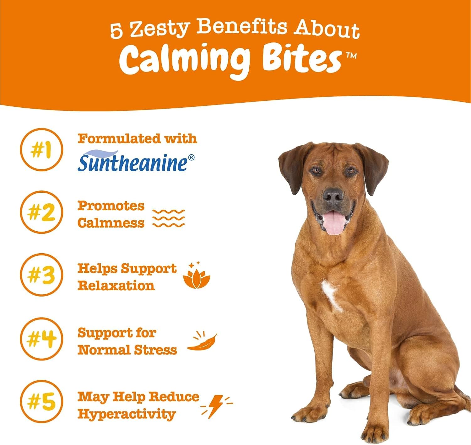 Zesty Paws Calming Bites for Dogs – Peanut Butter 90 Count Anxiety Relief Chews