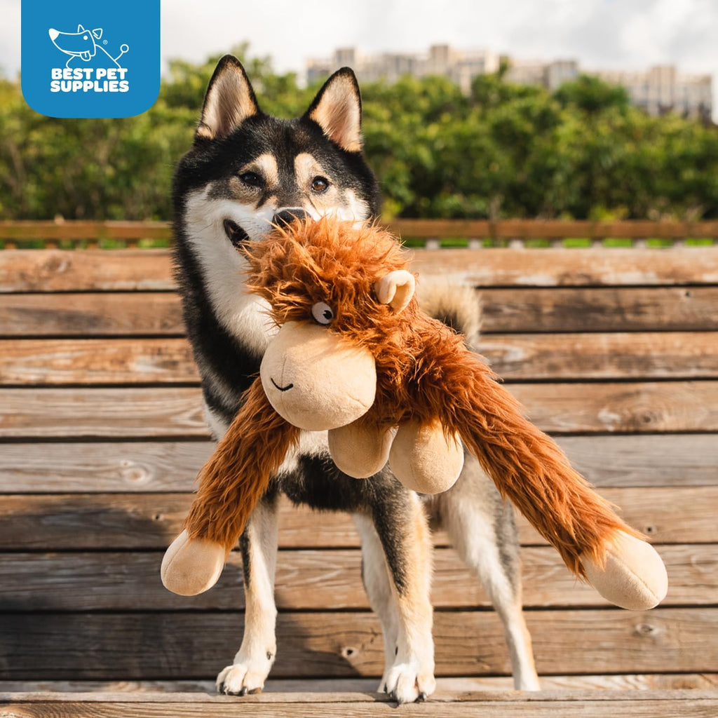 Best Pet Supplies Interactive Squeaky Dog Chew Toy, Ideal Dog Toys for Chewers, Small, Medium & Large Dogs, and Fetch Lovers - Crinkle Chicken (Brown), Large