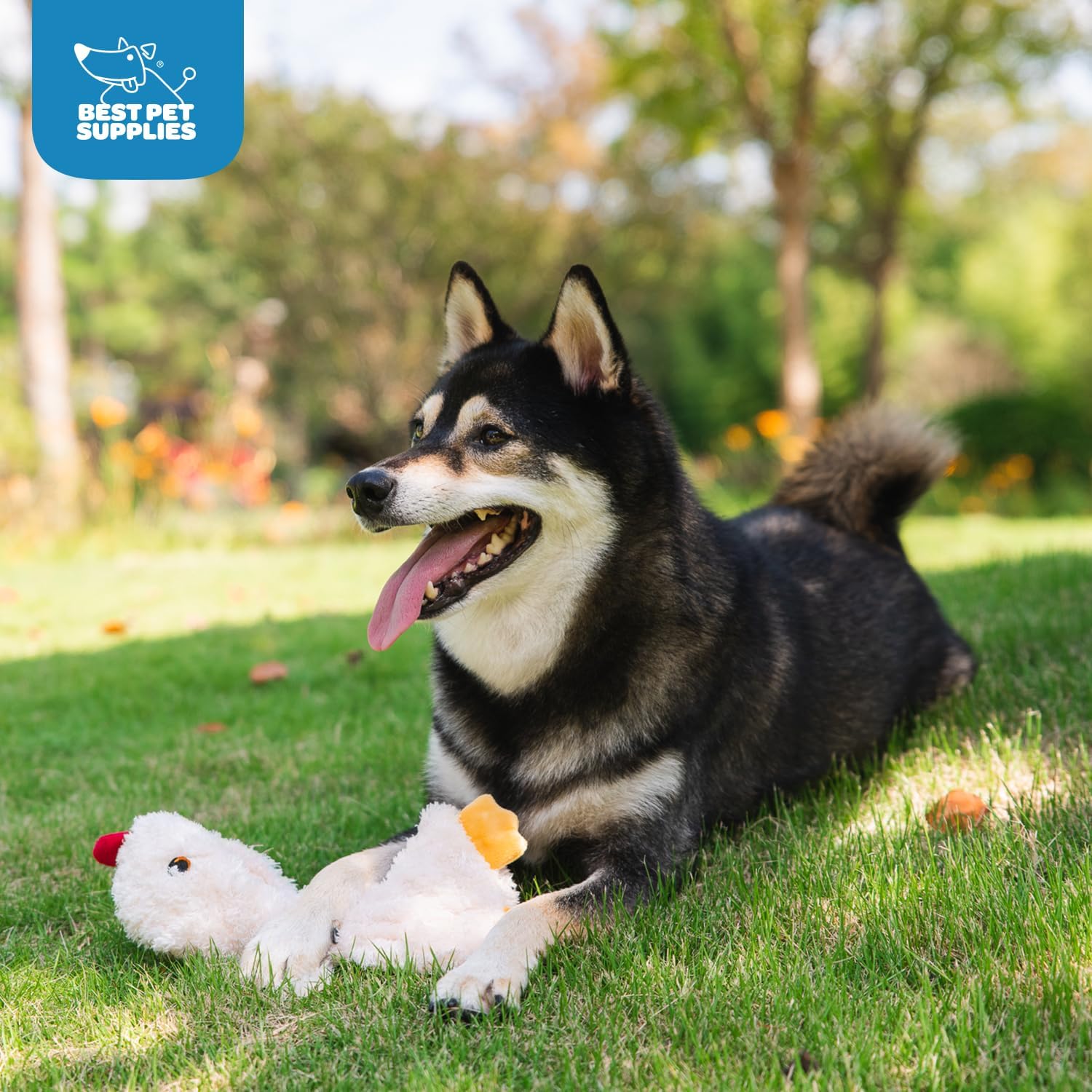 Best Pet Supplies Interactive Squeaky Dog Chew Toy, Ideal Dog Toys for Chewers, Small, Medium & Large Dogs, and Fetch Lovers - Crinkle Chicken (Brown), Large
