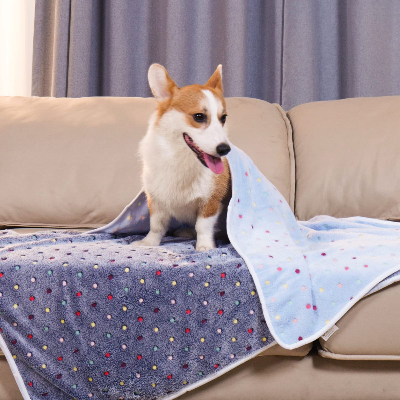 1 Pack 3 Blankets Super Soft Cute Dot Pattern Pet Blanket Flannel Throw for Dog Puppy Cat - Snuggle Blanket - Beige/Brown/Pink Small