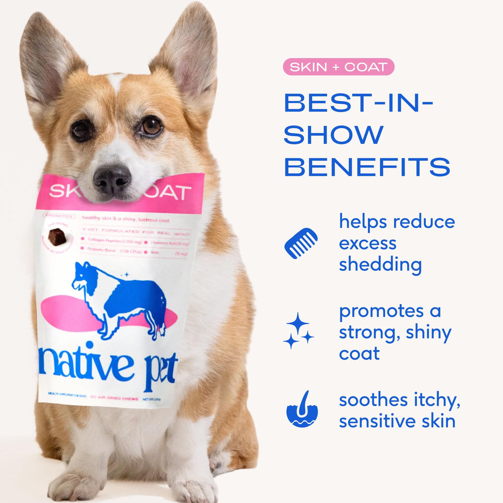 Native Pet Omega 3 Fish Oil for Dogs & Cats | Wild Alaskan Salmon Oil