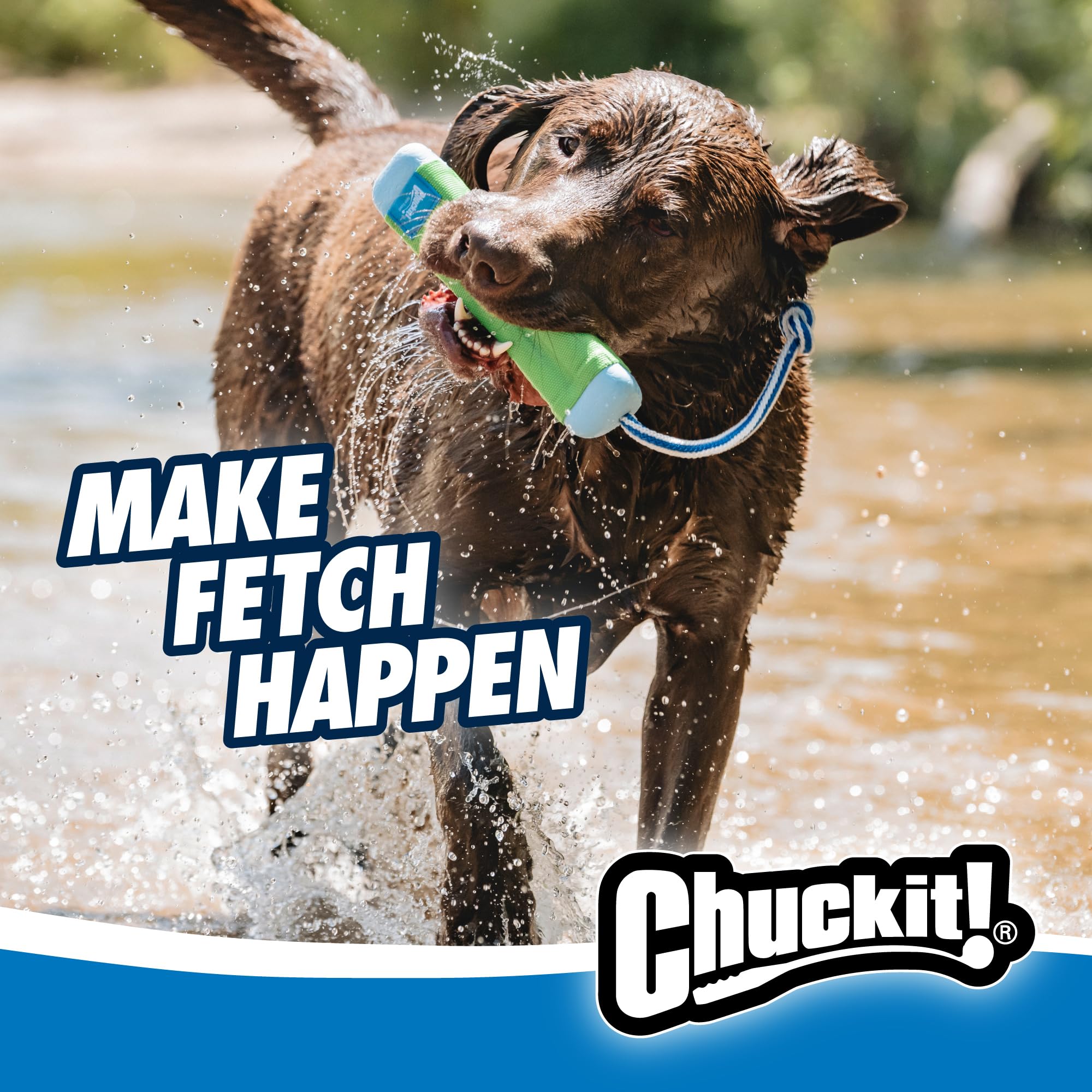 Chuckit! Amphibious Bumper Floating Fetch Dog Toy – High-Visibility Water Toy