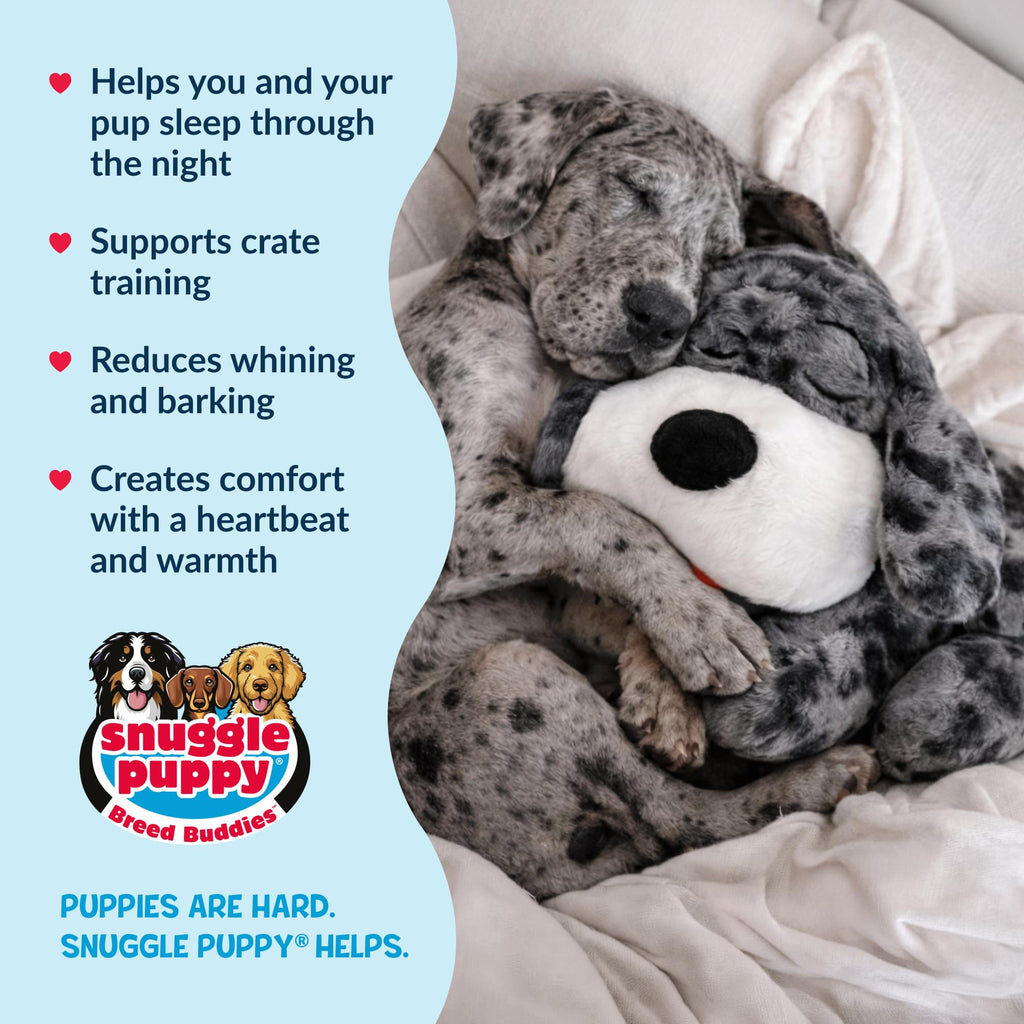 Snuggle Puppy Original Heartbeat Puppy Toy with Real-Feel Pulse & Heat Pack, Calming Sleep Aid for Puppy Anxiety, Crate Training, First Nights & New Puppy Transition - Biscuit