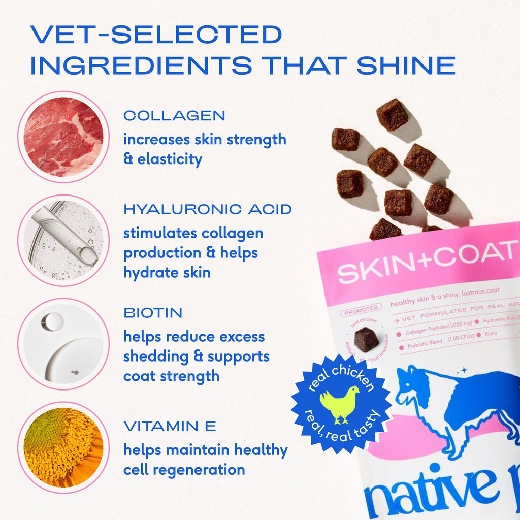 Native Pet Omega 3 Fish Oil for Dogs & Cats | Wild Alaskan Salmon Oil
