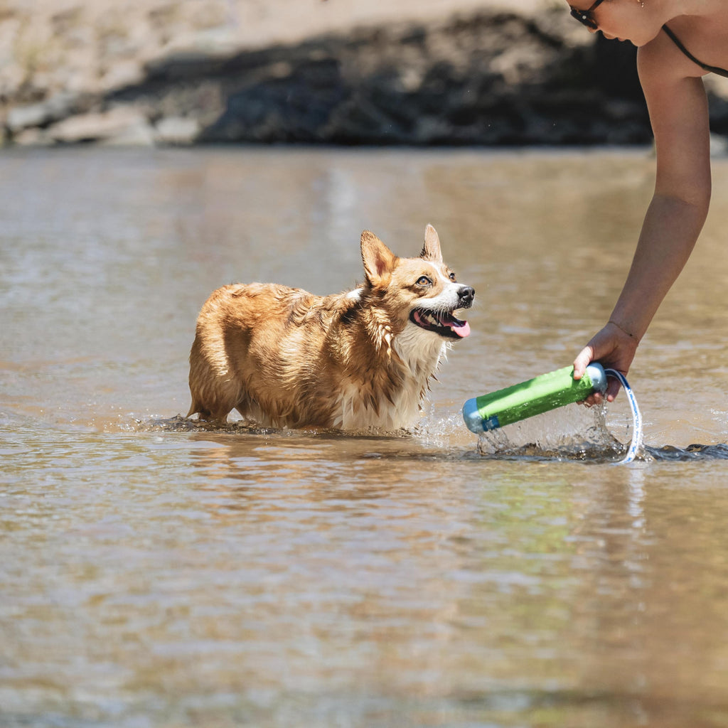 Chuckit! Amphibious Bumper Floating Fetch Dog Toy – High-Visibility Water Toy