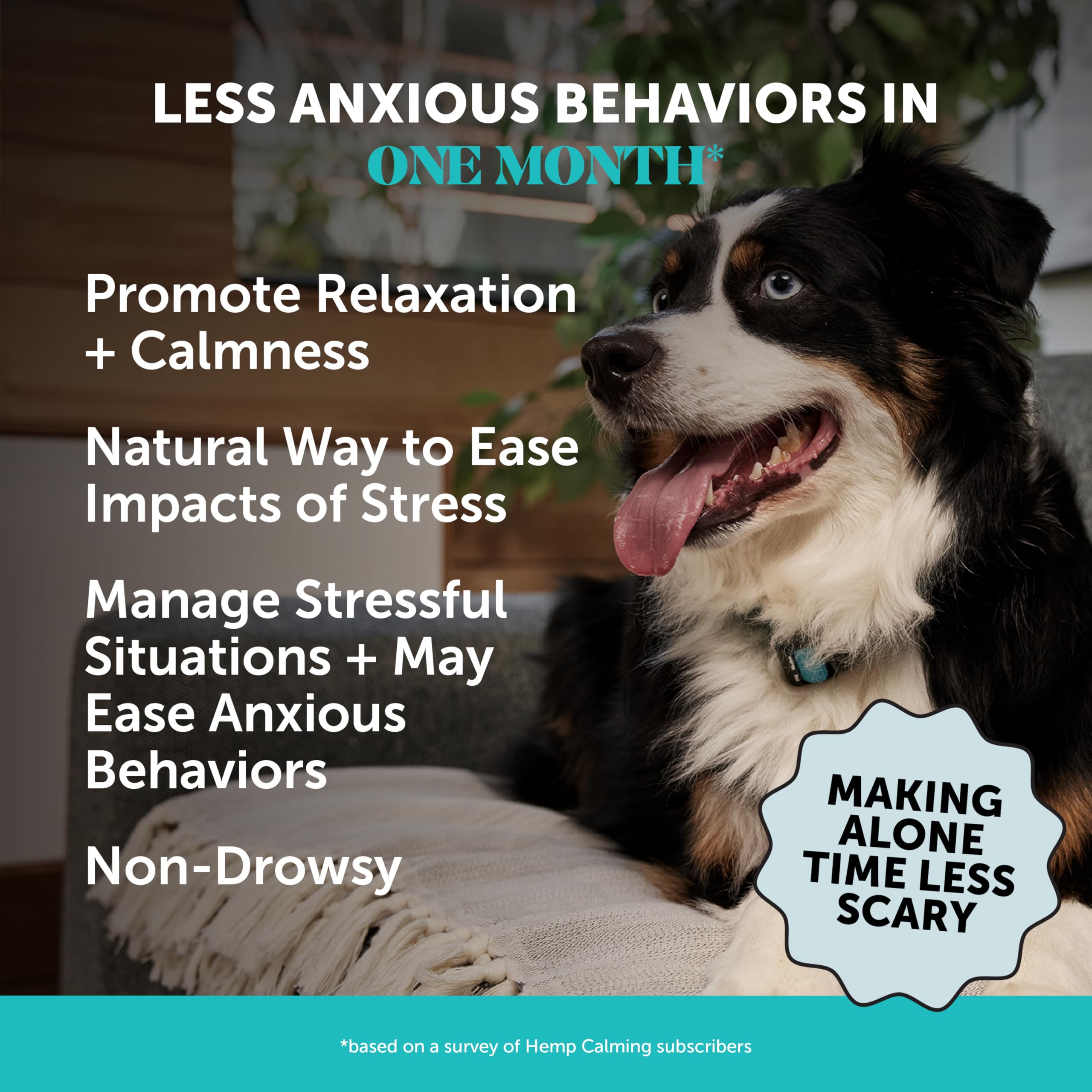 Natural Hemp Dog Calming Chews for Occasional Anxiousness & Stress - Calming Treats for Thunderstorms, Fireworks, Separation & Travel - with Ashwagandha, L-Theanine, Valerian Root (Chicken, 90 Ct)