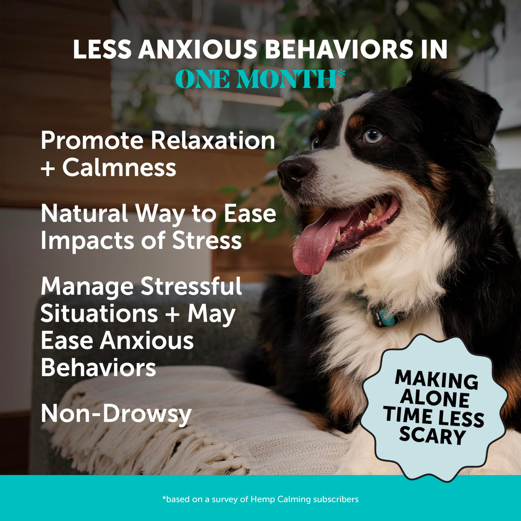 Natural Hemp Dog Calming Chews for Occasional Anxiousness & Stress - Calming Treats for Thunderstorms, Fireworks, Separation & Travel - with Ashwagandha, L-Theanine, Valerian Root (Chicken, 90 Ct)