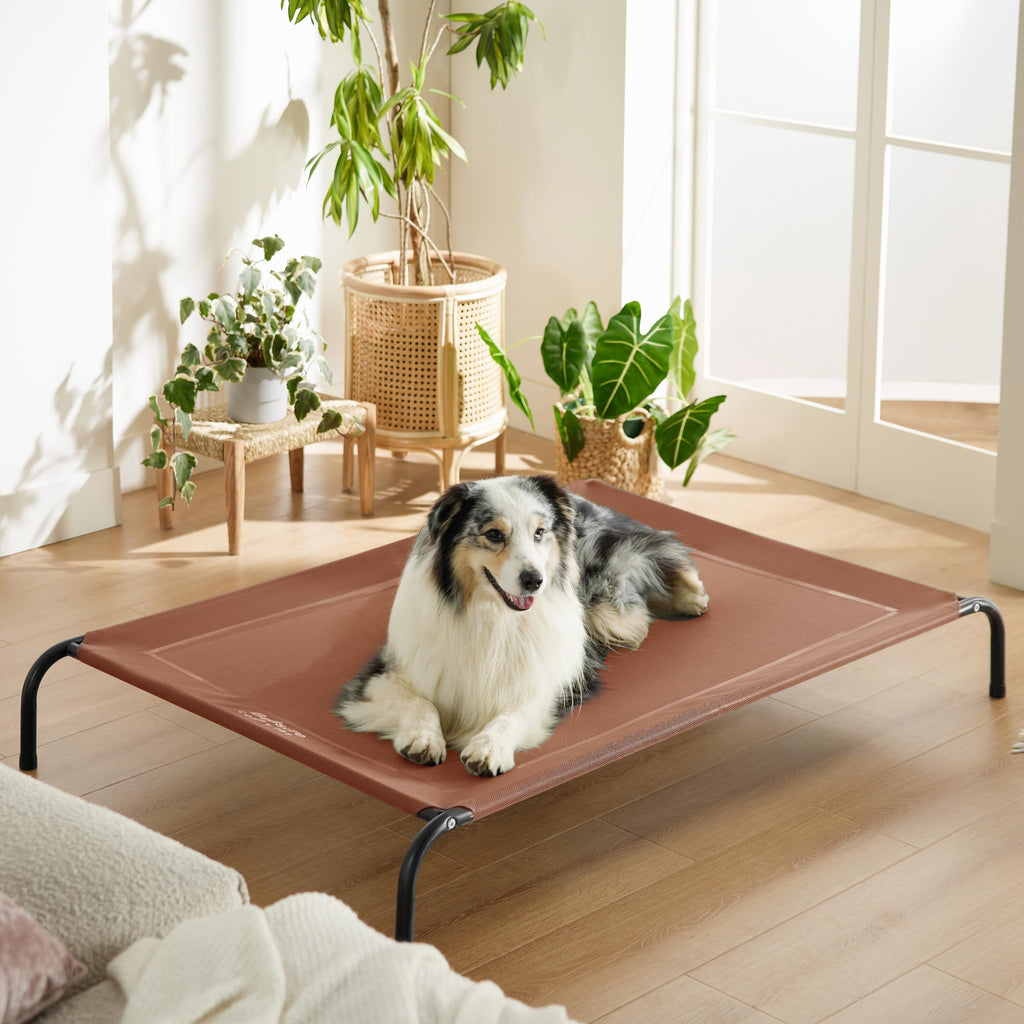 Bedsure Outdoor Elevated Dog Bed Large Sized Dog, Portable Indoor & Outdoor Cooling Raised Cot Pet Hammock Bed with Skid-Resistant Feet, Frame with Breathable Mesh, Grey, 49 inches