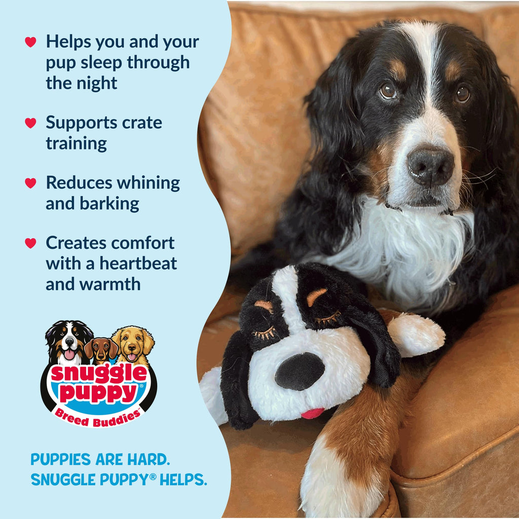 Snuggle Puppy Original Heartbeat Puppy Toy with Real-Feel Pulse & Heat Pack, Calming Sleep Aid for Puppy Anxiety, Crate Training, First Nights & New Puppy Transition - Biscuit