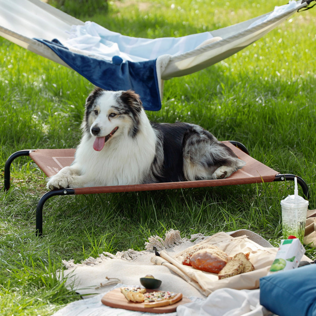 Bedsure Outdoor Elevated Dog Bed Large Sized Dog, Portable Indoor & Outdoor Cooling Raised Cot Pet Hammock Bed with Skid-Resistant Feet, Frame with Breathable Mesh, Grey, 49 inches
