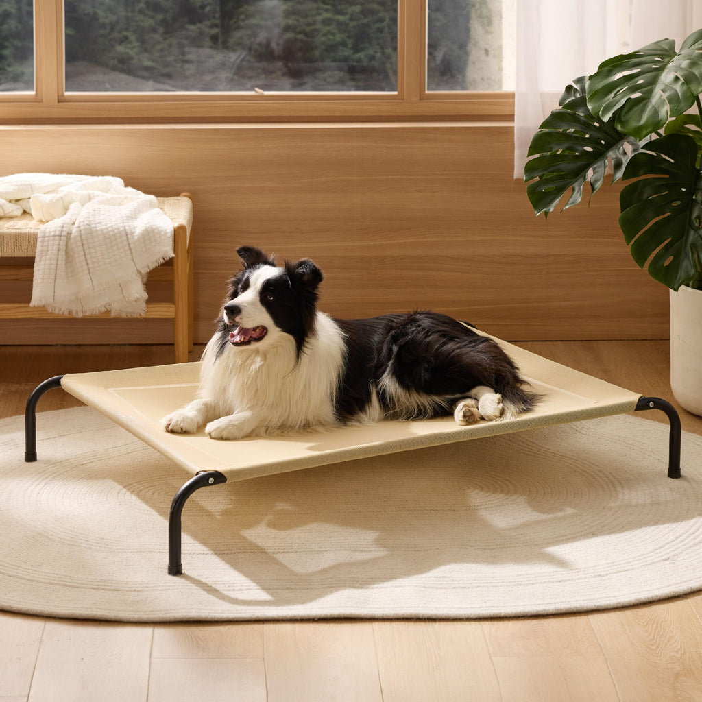 Bedsure Outdoor Elevated Dog Bed Large Sized Dog, Portable Indoor & Outdoor Cooling Raised Cot Pet Hammock Bed with Skid-Resistant Feet, Frame with Breathable Mesh, Grey, 49 inches