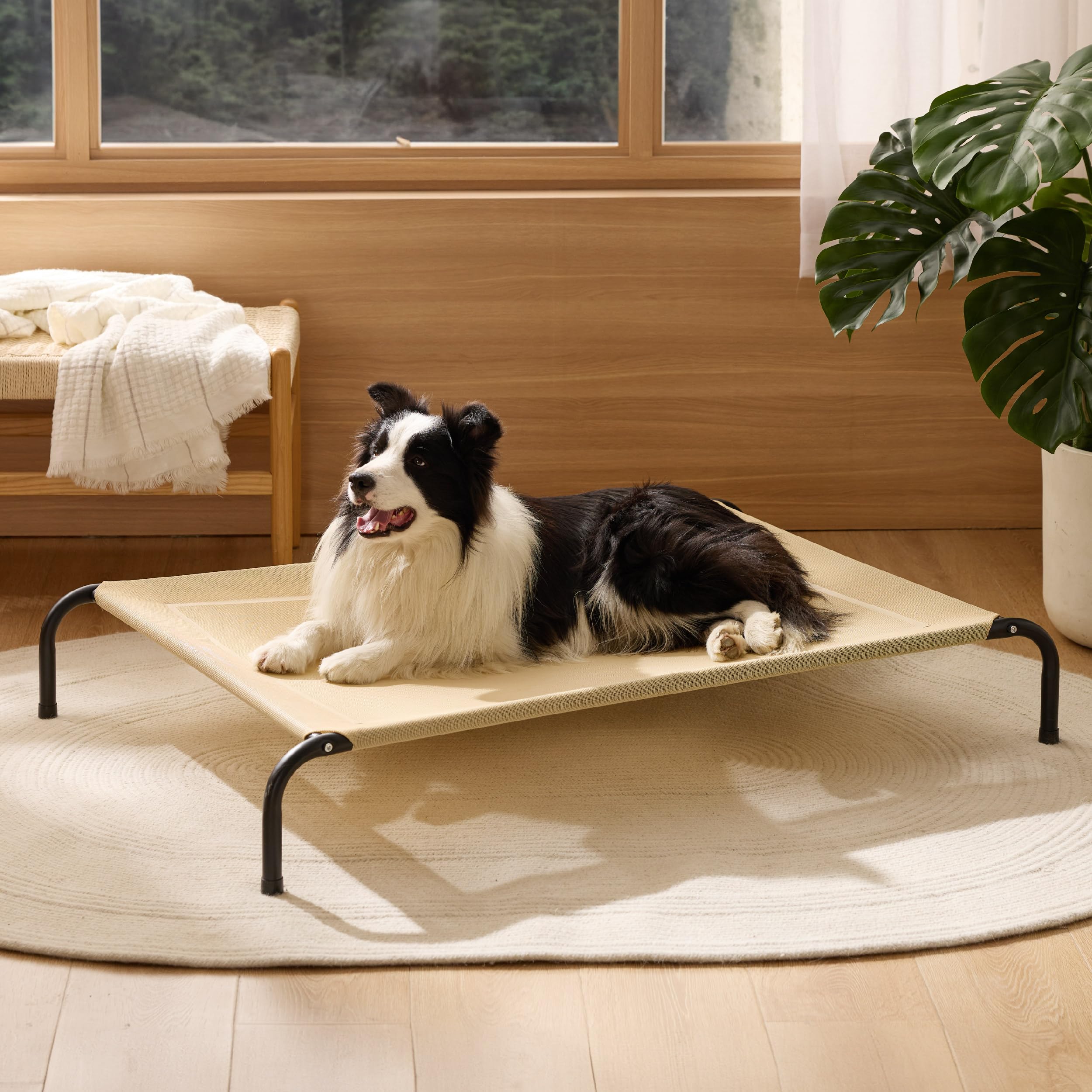 Bedsure Outdoor Elevated Dog Bed Large Sized Dog, Portable Indoor & Outdoor Cooling Raised Cot Pet Hammock Bed with Skid-Resistant Feet, Frame with Breathable Mesh, Grey, 49 inches