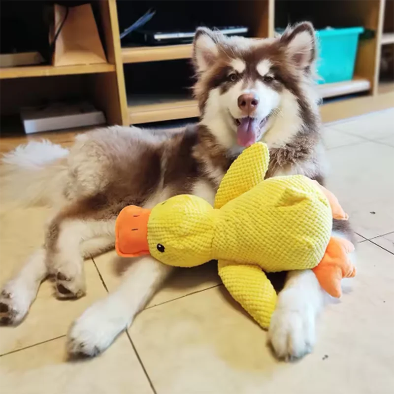 Calming Duck Plush Dog Toy – Dogs Ducks Toy with Quacking Sound for Indoor Dogs - Anxiety Relief "Snuggle Buddies" for Puppies – Squeaky Dog Toys