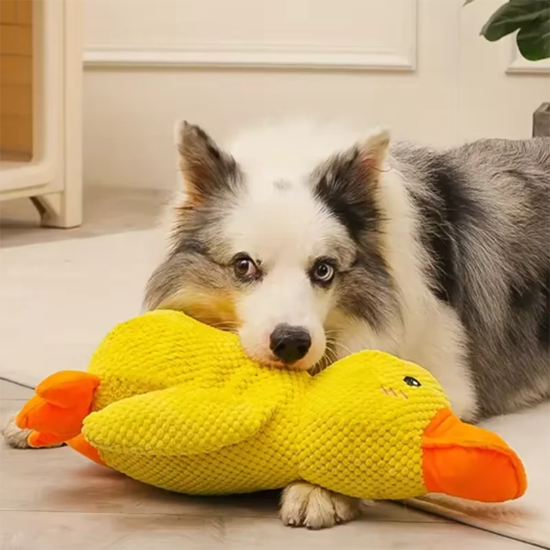 Calming Duck Plush Dog Toy – Dogs Ducks Toy with Quacking Sound for Indoor Dogs - Anxiety Relief "Snuggle Buddies" for Puppies – Squeaky Dog Toys