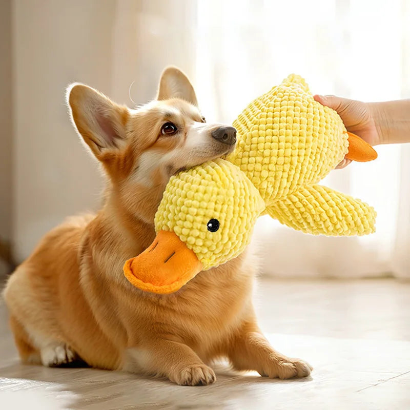 Premium Duck Plush Dog Toy – Squeaky & Crinkle Chew Toy for Puppies - Snuggle Buddies